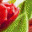 Предпросмотр схемы вышивки «Тюльпаны» (№712107)