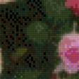 Предпросмотр схемы вышивки «Королева цветов» (№712116)
