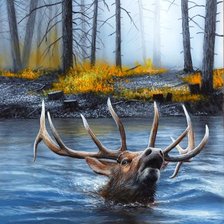 Схема вышивки «№712121»