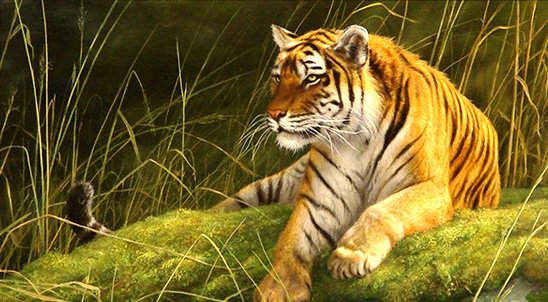 №712125 - оригинал