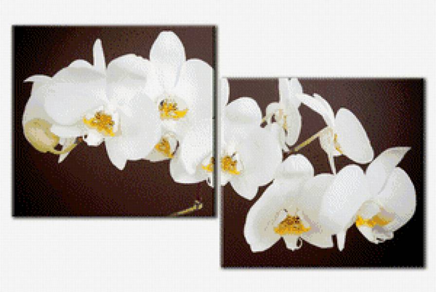 Диптих орхидея - диптих, орхидея, картина, триптих - предпросмотр