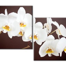 Оригинал схемы вышивки «Диптих орхидея» (№712340)