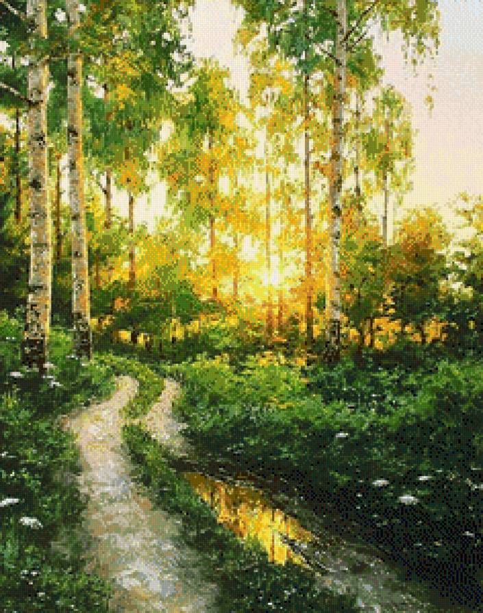 Восход в лесу - природа, пейзаж - предпросмотр