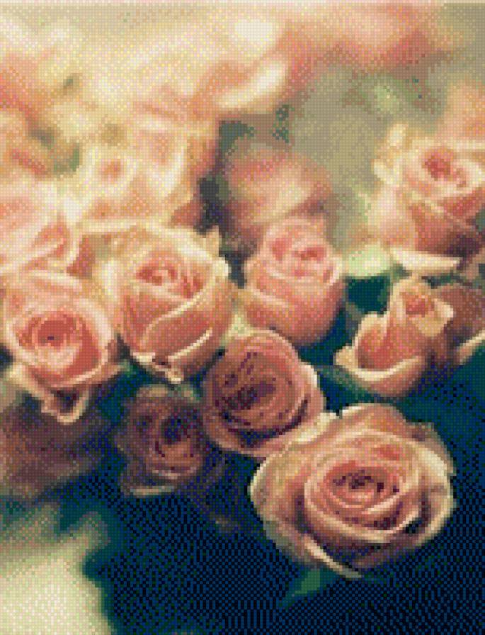 №712645 - розы, цветы - предпросмотр