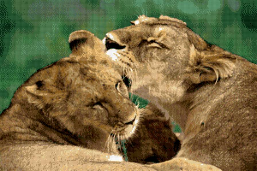 животные - предпросмотр