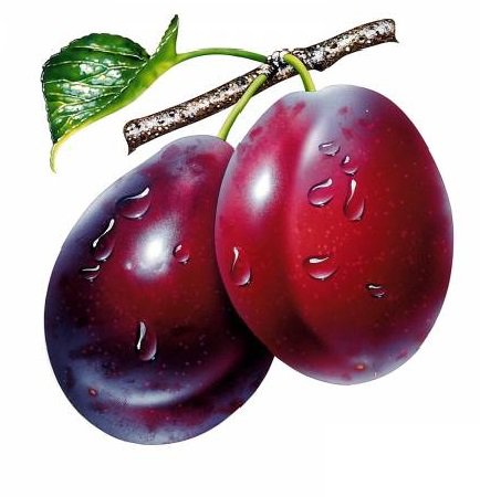 Сливы - сливы, кухня - оригинал