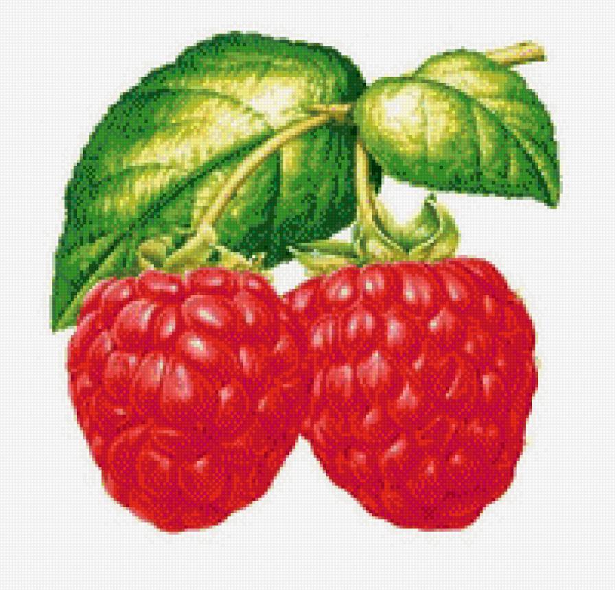 Малина - малина, кухня - предпросмотр