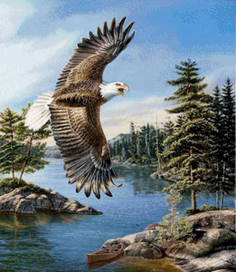 №712853 - предпросмотр