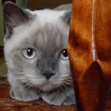 Оригинал схемы вышивки «№712957»