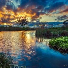 Схема вышивки «Природа»