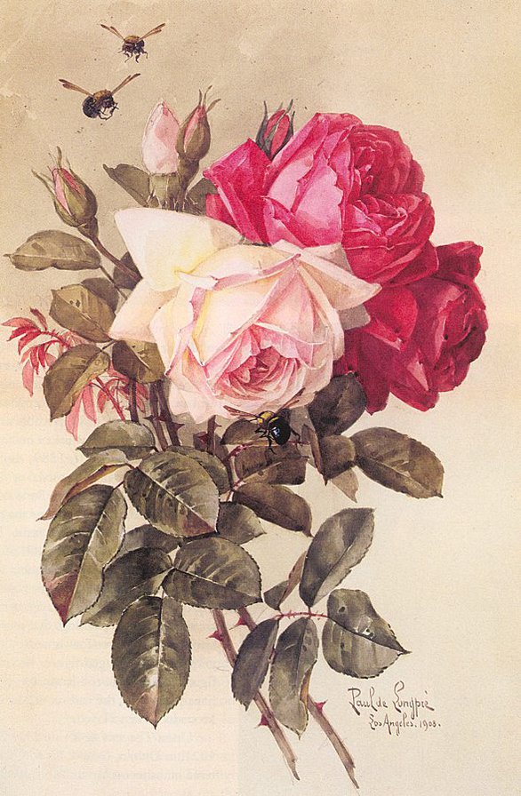 Розы - розы, винтаж - оригинал