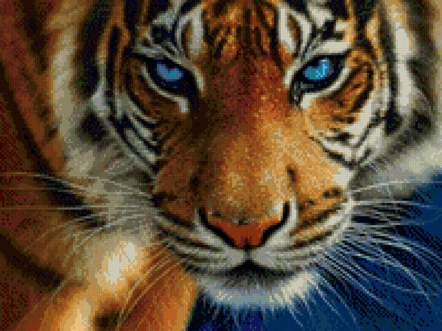 №713514 - тигры, звери, животные - предпросмотр