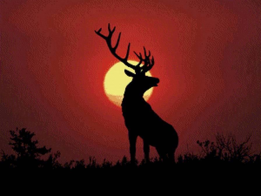 животные - предпросмотр