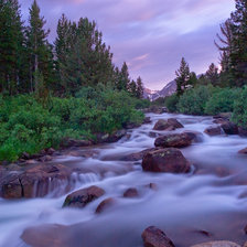 Схема вышивки «природа»