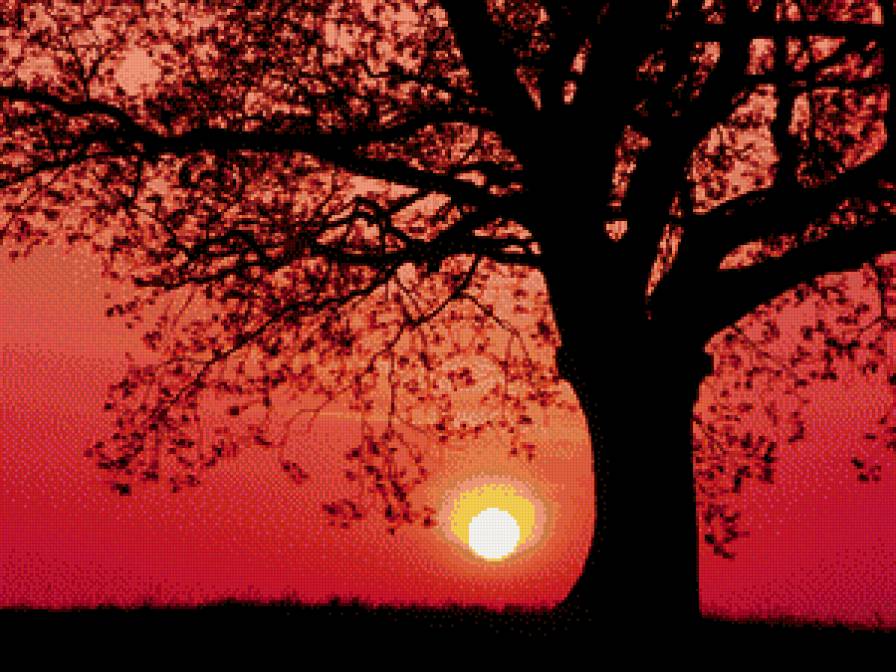 природа - предпросмотр