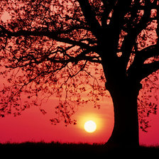 Схема вышивки «природа»