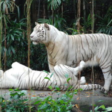 Схема вышивки «животные»