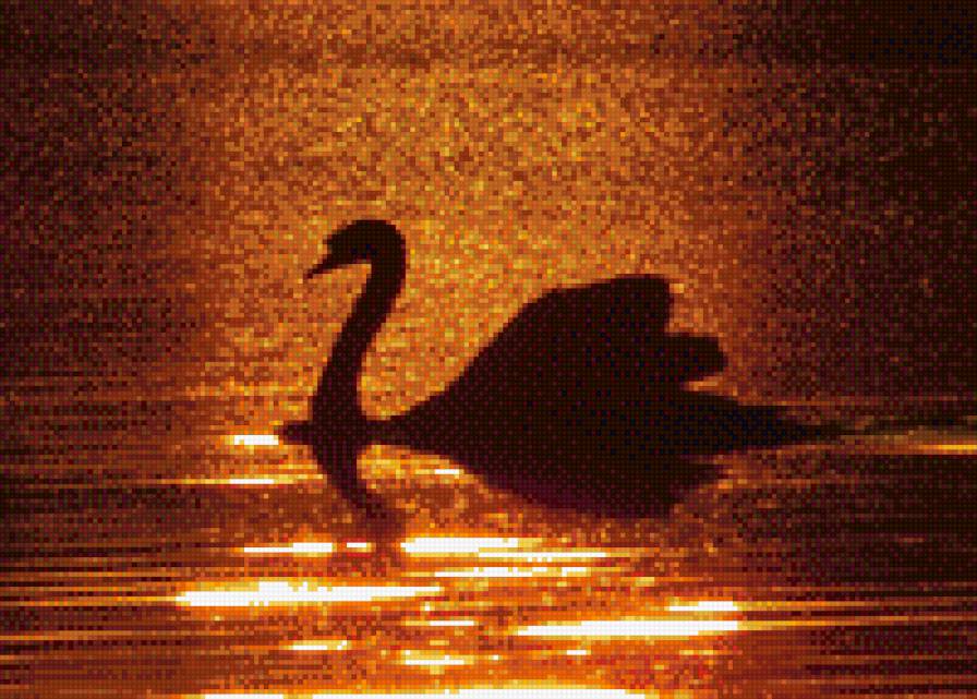 №713537 - птицы, лебеди, силуэт - предпросмотр