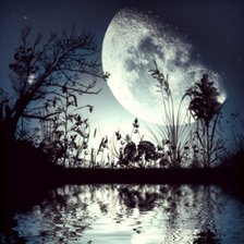 Схема вышивки «№713552»