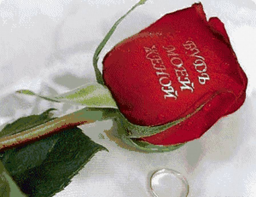 цветы - предпросмотр