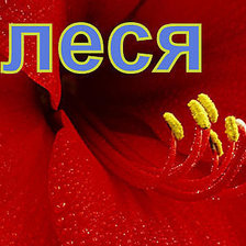 Схема вышивки «Олеся»