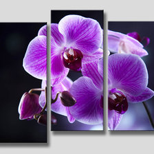Схема вышивки «Орхидея триптих»