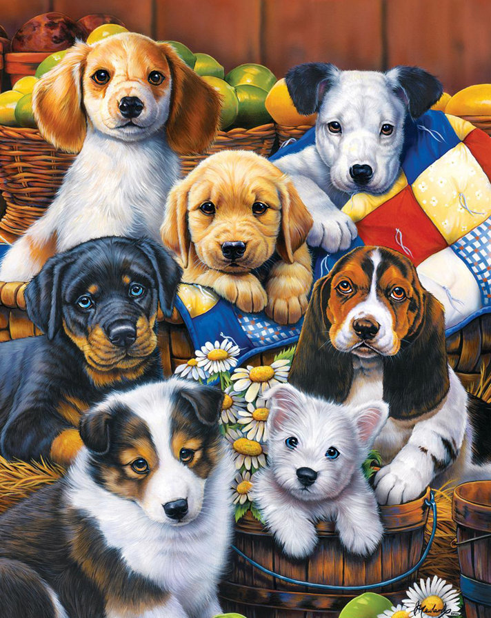 собачки - собаки - оригинал