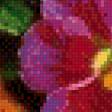 Предпросмотр схемы вышивки «Букет цветов» (№713684)