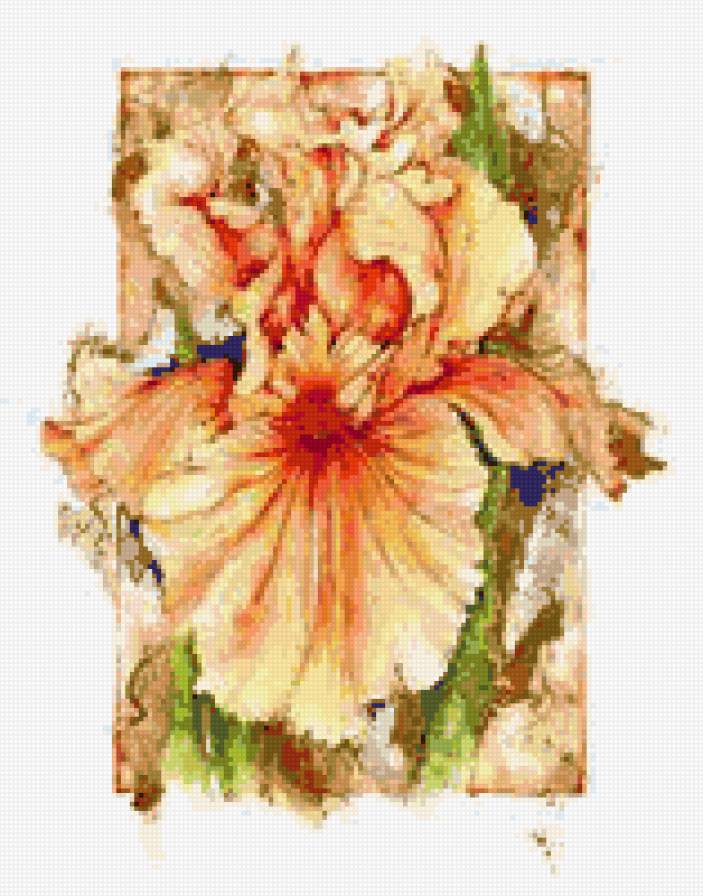 Ирис - цветы - предпросмотр