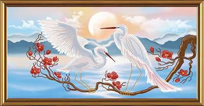 Цапли - природа, птицы - оригинал