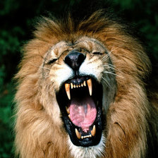 Схема вышивки «Лев»