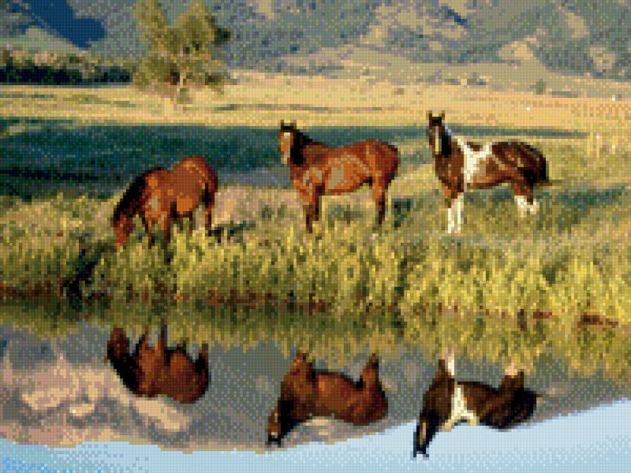 На водопое - животные - предпросмотр