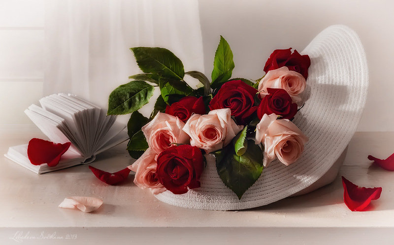 розы - розы - оригинал