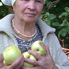 Оригинал схемы вышивки «мама с яблоками» (№714030)