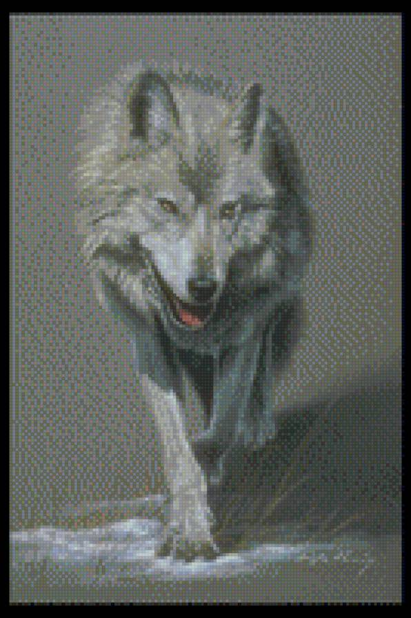 Волк - природа, животные, волки - предпросмотр