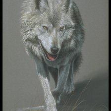 Оригинал схемы вышивки «Волк» (№714082)