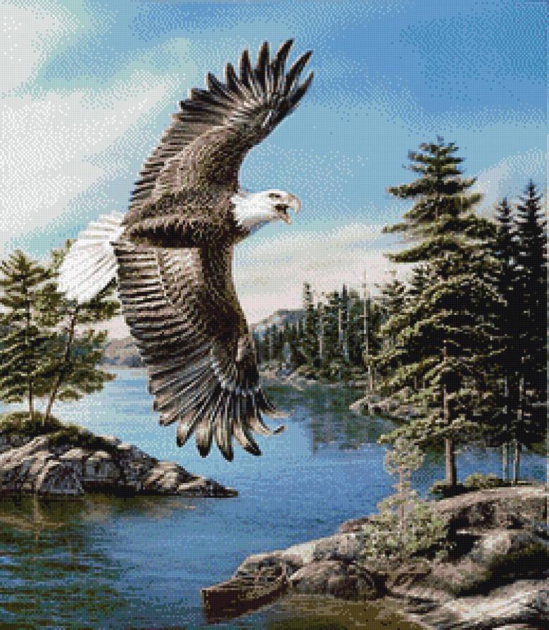 №714188 - предпросмотр