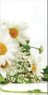 Триптих ромашки3 - оригинал