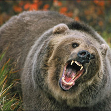 Схема вышивки «медведь»