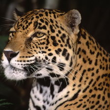 Схема вышивки «№714424»