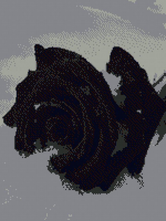 Чёрная роза - снег, роза, черный, цветы - предпросмотр