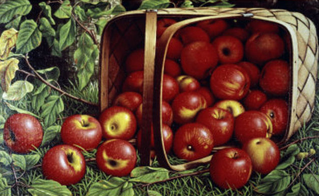 Сочные яблочки - корзина, яблоки, фрукты, корзинка, природа - оригинал