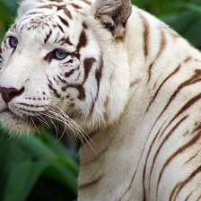 Схема вышивки «№714906»