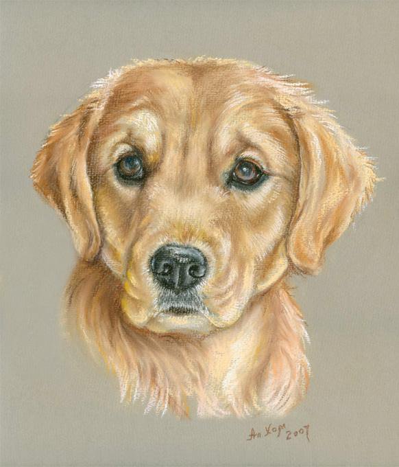 серия "собаки" - животные.собака - оригинал