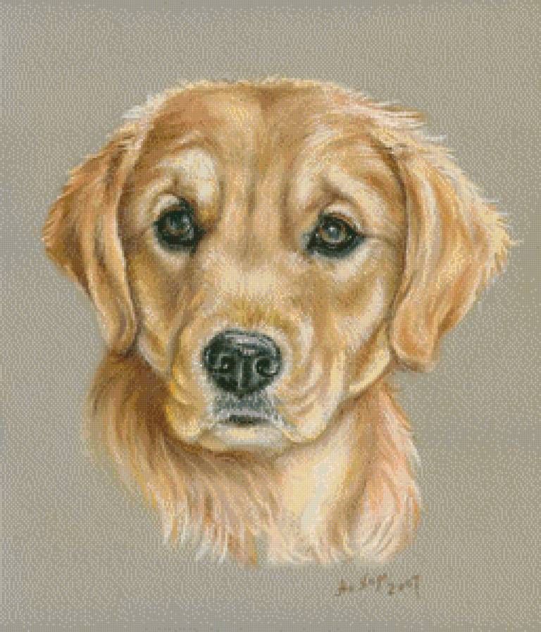 серия "собаки" - животные.собака - предпросмотр