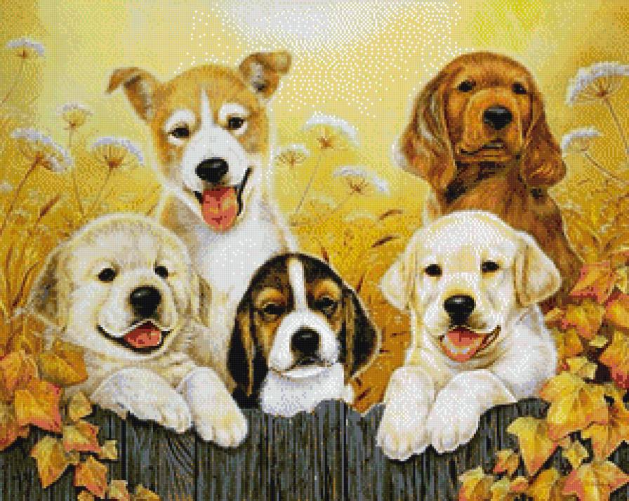 серия "собаки" - животные.собака - предпросмотр