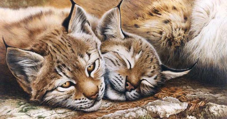 животные - оригинал