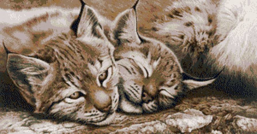 животные - предпросмотр