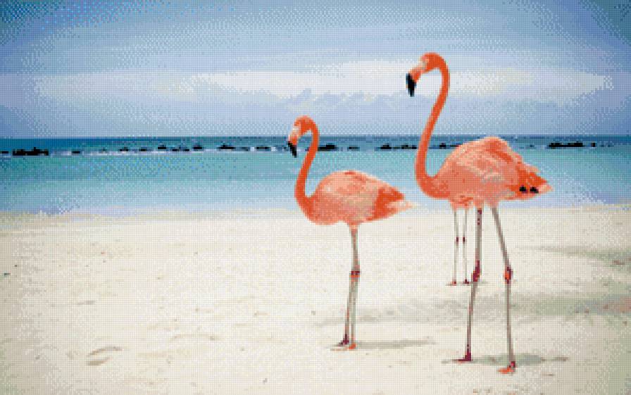 розовый фламинго на пляже - пляж, фламинго, розовый - предпросмотр