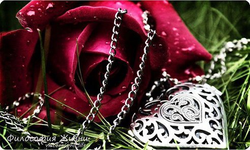 подарок - кулон, трава, цветок, роза, сердце, цепочка - оригинал